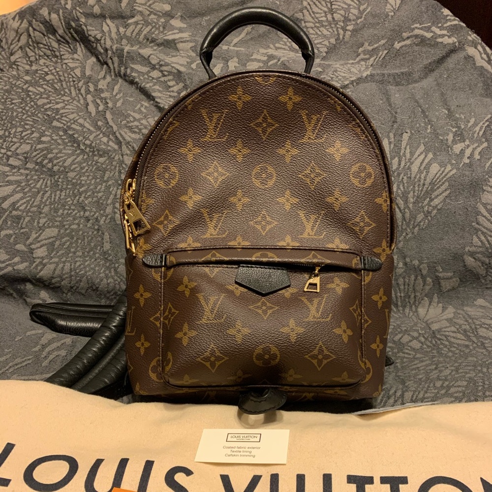 Louis Vuitton Palm springs backpack PM